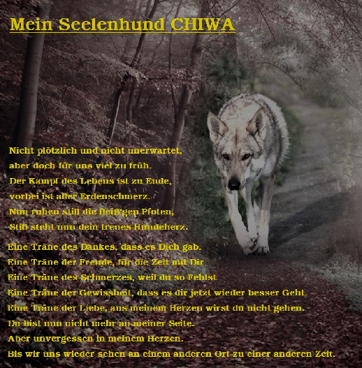 chiwa, Tschechoslowakischer wolfshund 